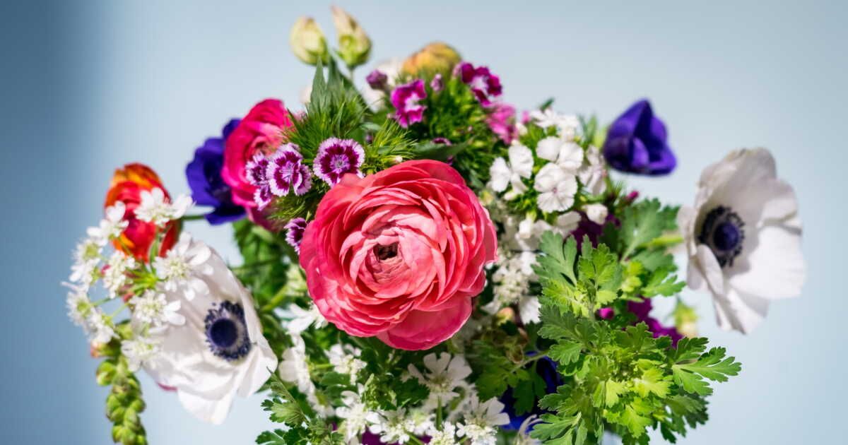 Optez pour des fleurs de saison : un bouquet de Saint-Valentin écoresponsable et économique