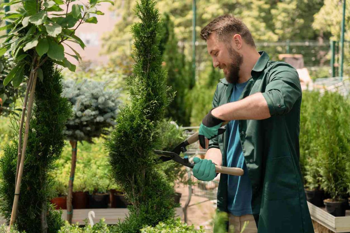 Aménagez votre jardin : l'art de s'entourer d'un paysagiste