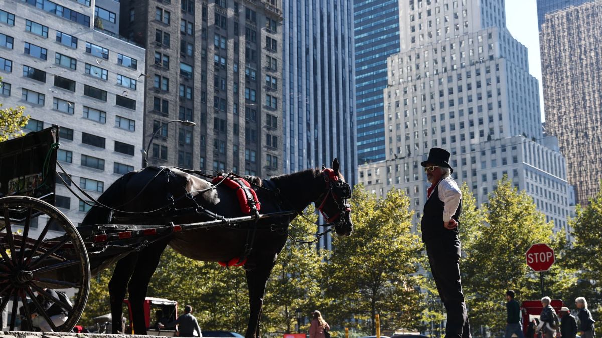 Tragédie à Central Park : un adolescent perd la vie dans un accident de calèche