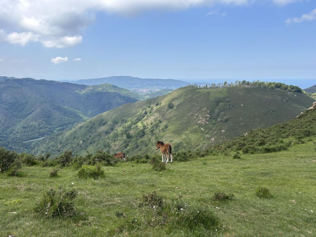Un randonneur victime de malaise en montagne au Pays basque