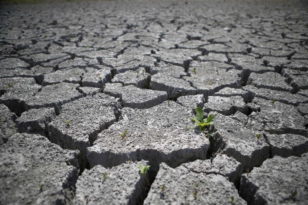Canicule : la France au bord d'une sécheresse éclair