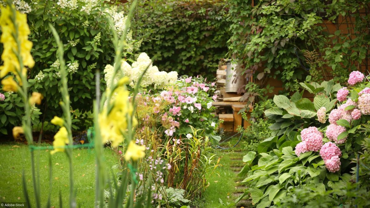 Les secrets d'une floraison réussie : conseils de jardinage
