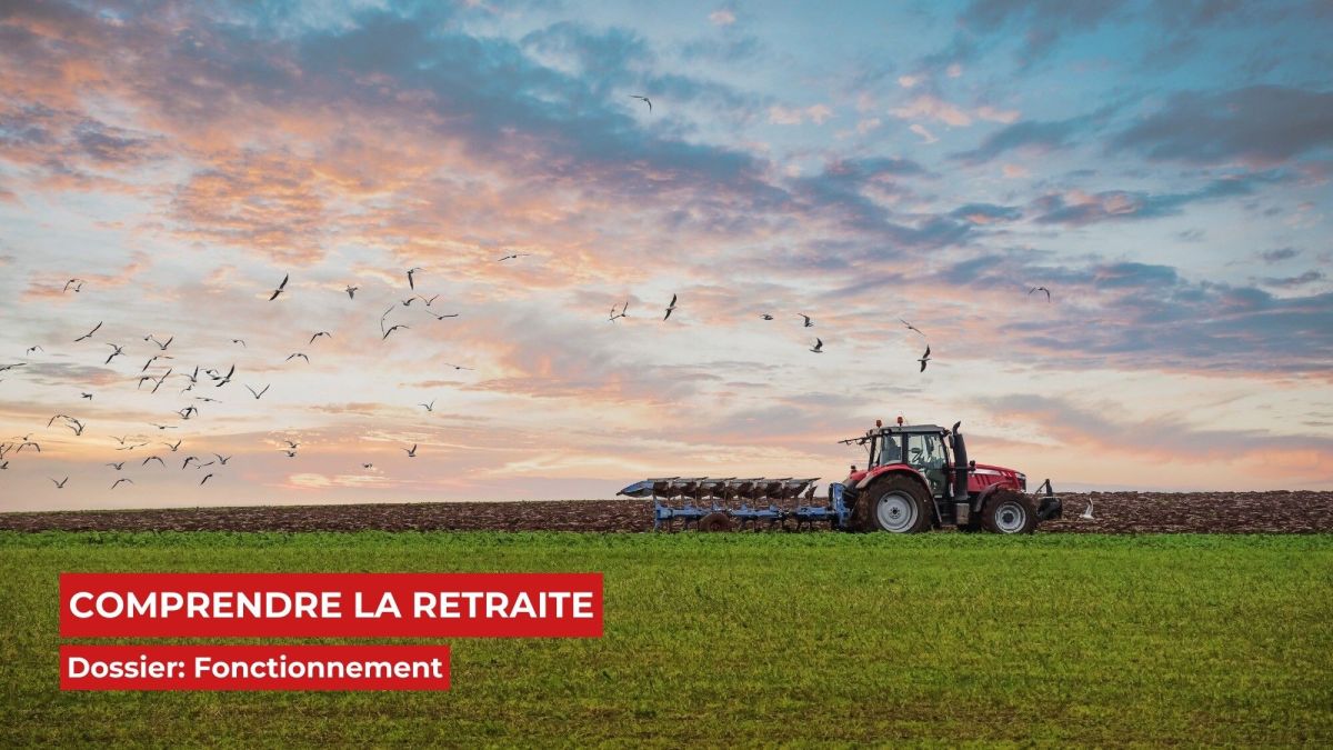Les secrets du calcul de la retraite des agriculteurs révélés