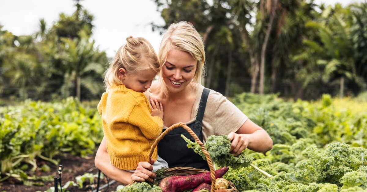 Gaspillage alimentaire : qu'est-ce que le glanage et où est-il autorisé ?