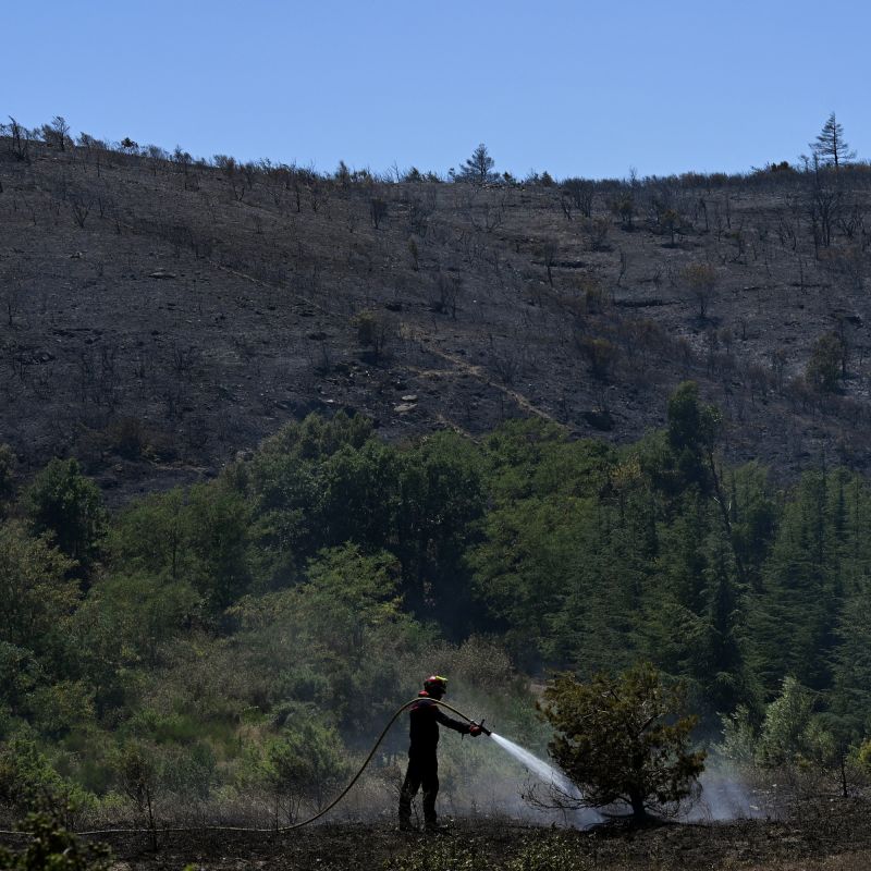 Incendie dévastateur dans les Pyrénées-Orientales : l'urgence s'intensifie