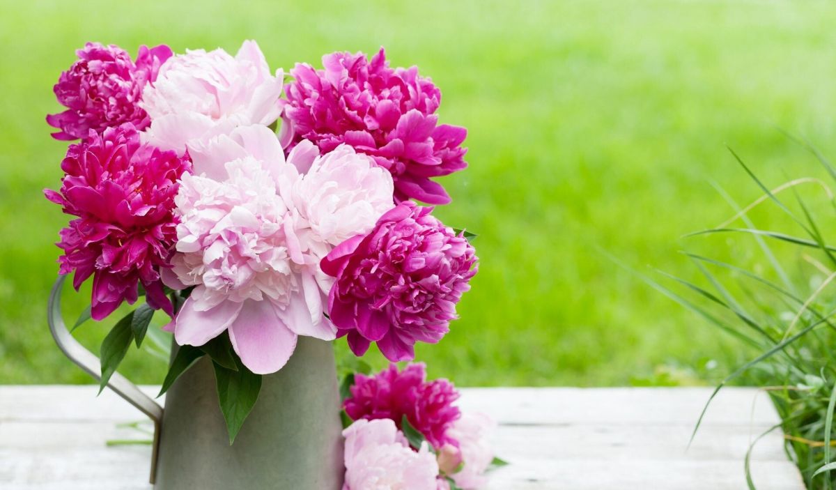 Comment choisir le bouquet parfait et le faire durer longtemps