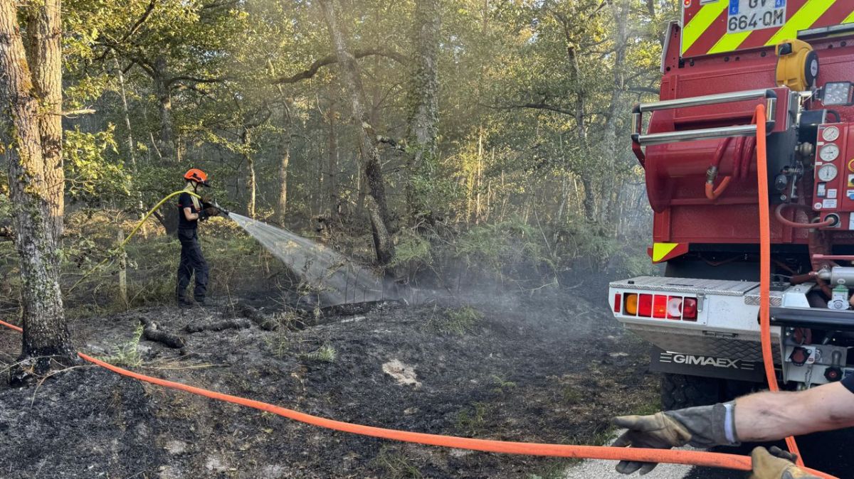 Selles-Saint-Denis : le combat des pompiers face à un incendie dévastateur
