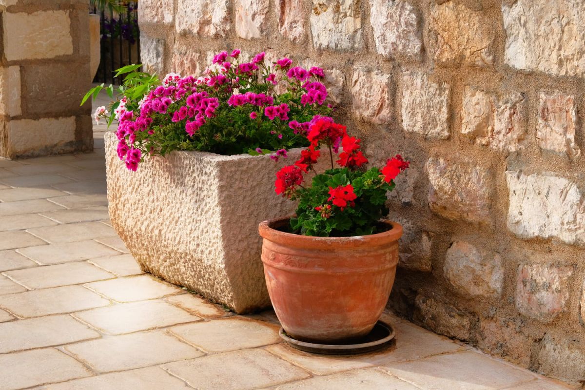 Le choix idéal de plantes pour sublimer votre jardinière