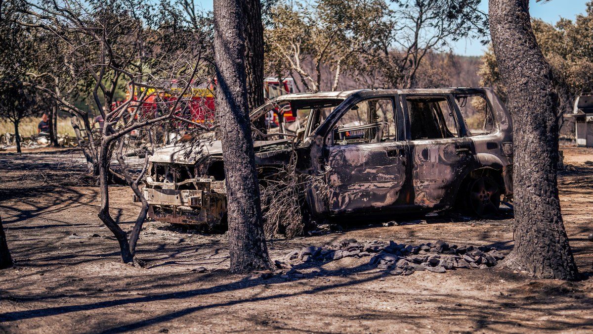 Incendies en France : quel type de feu est le plus destructeur ?