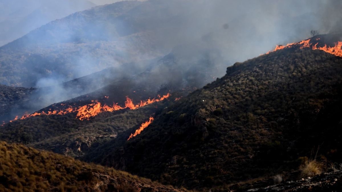 Des milliers de personnes touchées par l'incendie meurtrier en Espagne commencent à rentrer chez elles