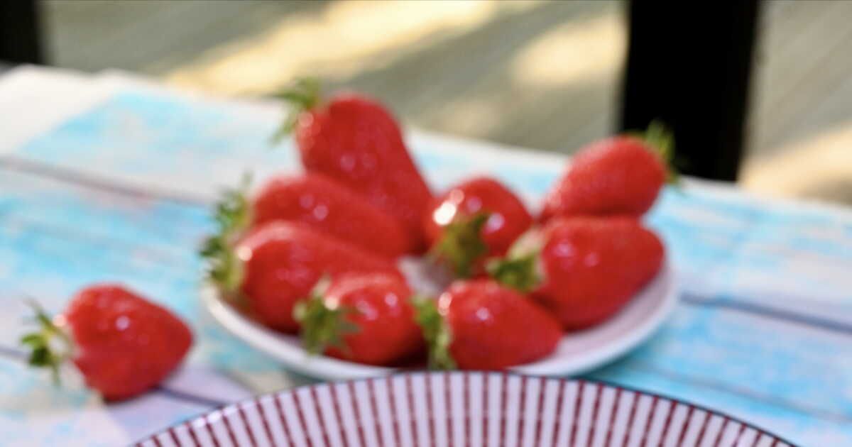 4 recettes délicieuses pour savourer les fraises tout l'été