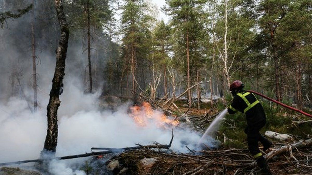 Incendie de Fontainebleau : arrestation de deux jeunes suspects au cœur de la tempête