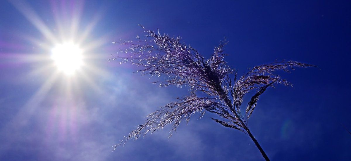 La canicule persiste : 26 départements en alerte rouge