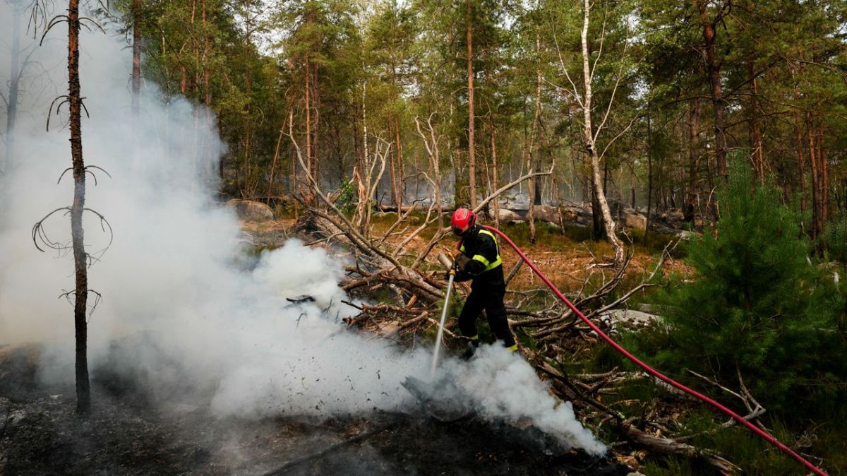 Comprendre les étapes clés de la lutte contre les incendies